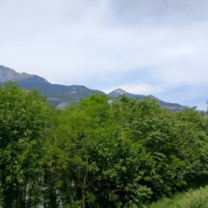 33)%20img_20260530_124014.jpeg