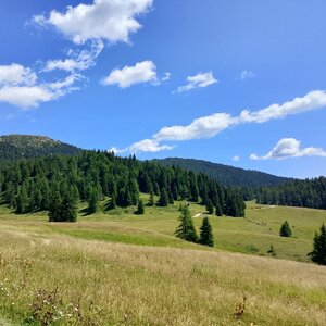 img_20260722_123113.jpeg