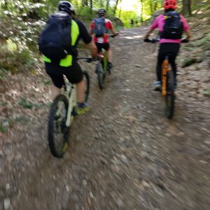05)%20img_20260509_101041.jpeg
