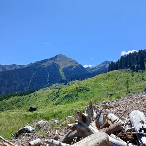 img_20260704_120016.jpeg
