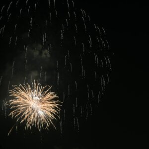 dsc_2203.jpeg