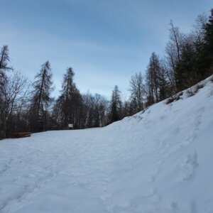 dji_20260305151122_0020_d.jpeg