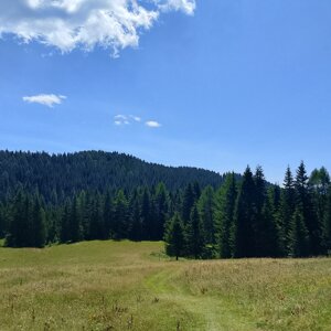 img_20260722_124426.jpeg