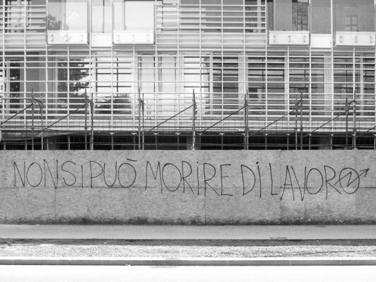 img_5804.jpeg img_5804.jpeg