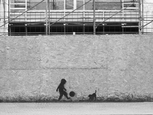 img_5803.jpeg img_5803.jpeg