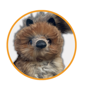 raccoon-pupazzo-procione-ventriloquo-nicola-pesaresi raccoon-pupazzo-procione-ventriloquo-nicola-pesaresi