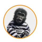 cesare-gorilla-avanti-un-altro-nicola-pesaresi cesare-gorilla-avanti-un-altro-nicola-pesaresi