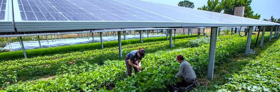 finlumia-terreni-rtb-impianti-fotovoltaici-1.jpeg