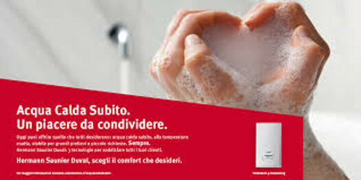 hermann saunier duval.jpeg