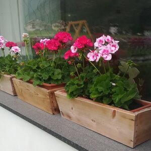 davanzalerossosarentino