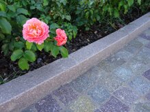 cordone gardena.jpeg