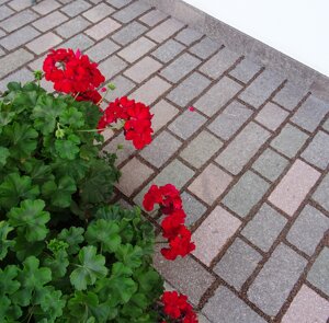 eyJpdCI6InBpYXN0cmVsbGUgcG9yZmlkbyIsImRlIjoiZmxpZXNlbiwgYm9kZW4sIHBvcnBoeXIsIGdlZmxhbW10ZS1PYmVyZmzkY2hlLCBHcvZkZW4tcG9ycGh5ciIsImZyIjoic3VyZmFjZS1mbGFtbehlLCBwb3JwaHlyZSwgZGFsbGVzLCB0cmVudGlubyIsImVuIjoidGlsZXMsIHBvcnBoeXIsIGZsYW1lZCBzdXJmYWNlLCBUcmVudGlubyAifQ==