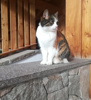 img_20190920_175708 img_20190920_175708