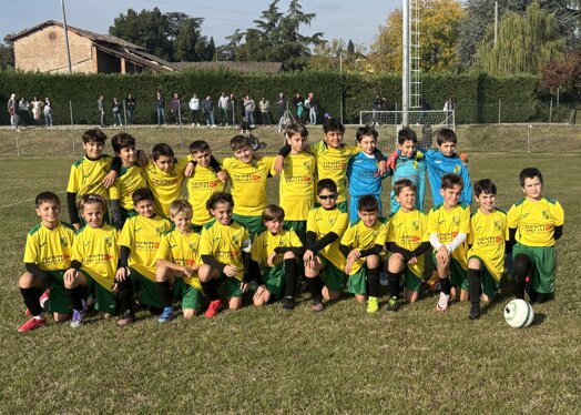 pulcini 2015.jpeg