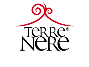 agenziascena - studio del logo agenziascena - studio del logo