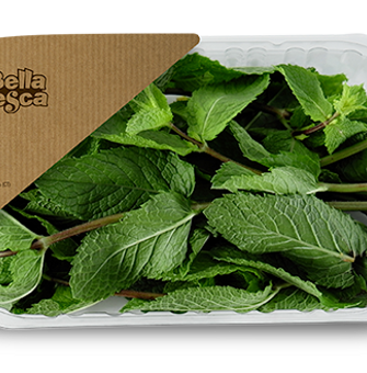 Agenzia Scena packaging Bella Fresca - Sicilia Agenzia Scena packaging Bella Fresca - Sicilia