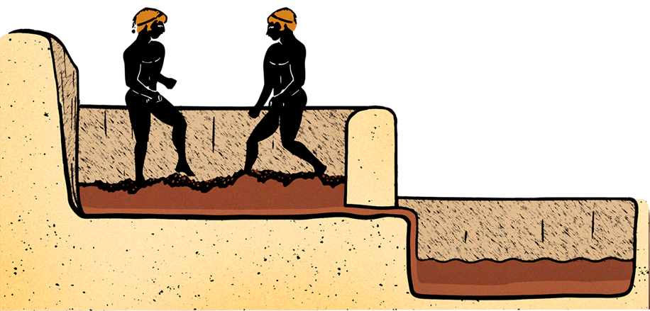 Scena Comunicazione per Vini Daemone