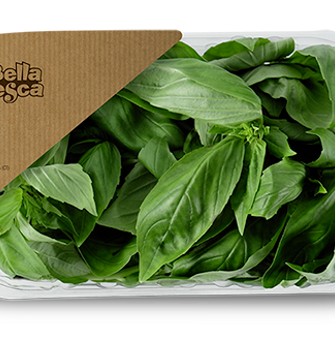 Agenzia Scena packaging Bella Fresca - Sicilia Agenzia Scena packaging Bella Fresca - Sicilia