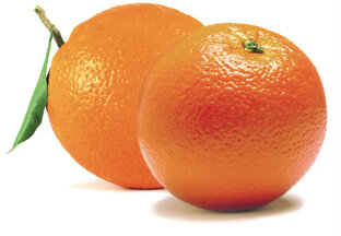 Agenziascena per Campisi OPAC