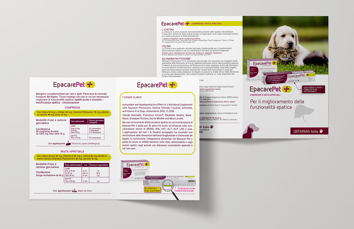 Scena - brochure integratore