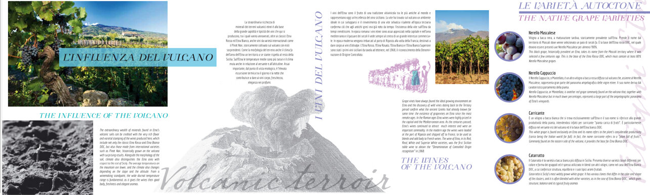 agenziascena - comunicazione Nicosia