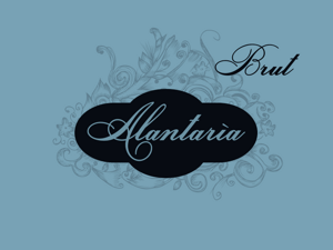 agenziascena - studio del logo agenziascena - studio del logo