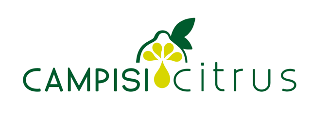 progettazione logo