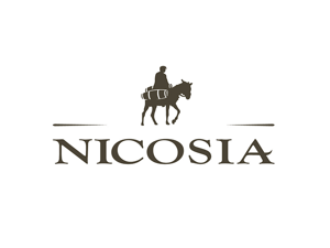 agenziascena - studio del logo agenziascena - studio del logo