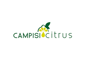 agenziascena - studio del logo agenziascena - studio del logo