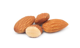 agenziascena - comunicazione Signorelli