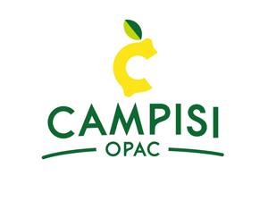 agenziascena - studio del logo agenziascena - studio del logo