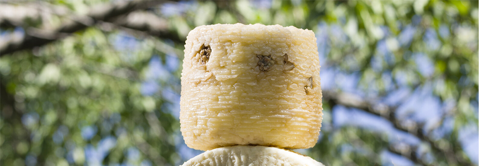 Scena comunicazione - studio etichette Scena comunicazione - studio etichette