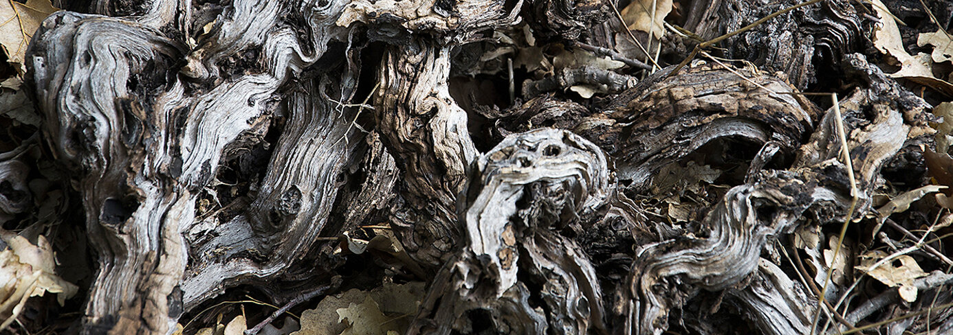 agenziascena - progetto Nicola Gumina agenziascena - progetto Nicola Gumina