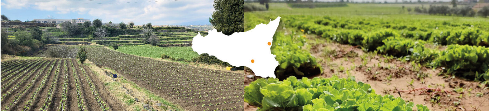 Agenzia Scena per Bella Fresca - Sicilia Agenzia Scena per Bella Fresca - Sicilia