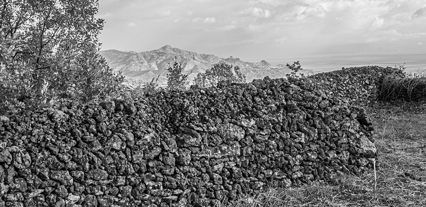 Agenziascena - comunicazione Tenute La Greca