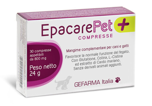 agenziascena - packaging