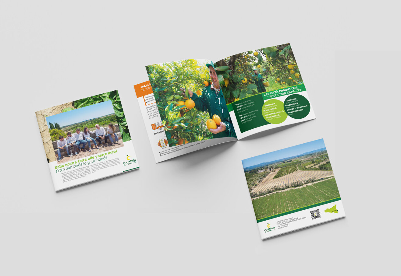 Scena catalogo Campisi OPAC - Siracusa