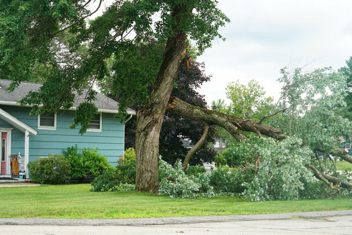 louisiana-hurricane-insurance-lawyer.jpeg