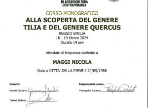 vta%20e%20cablaggio