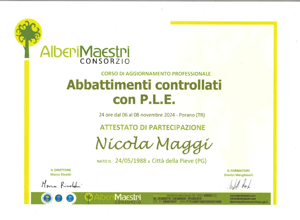 psico-motoria%20operatore%20su%20fune psico-motoria%20operatore%20su%20fune