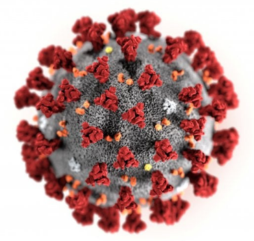 coronavirus-1583839026.png