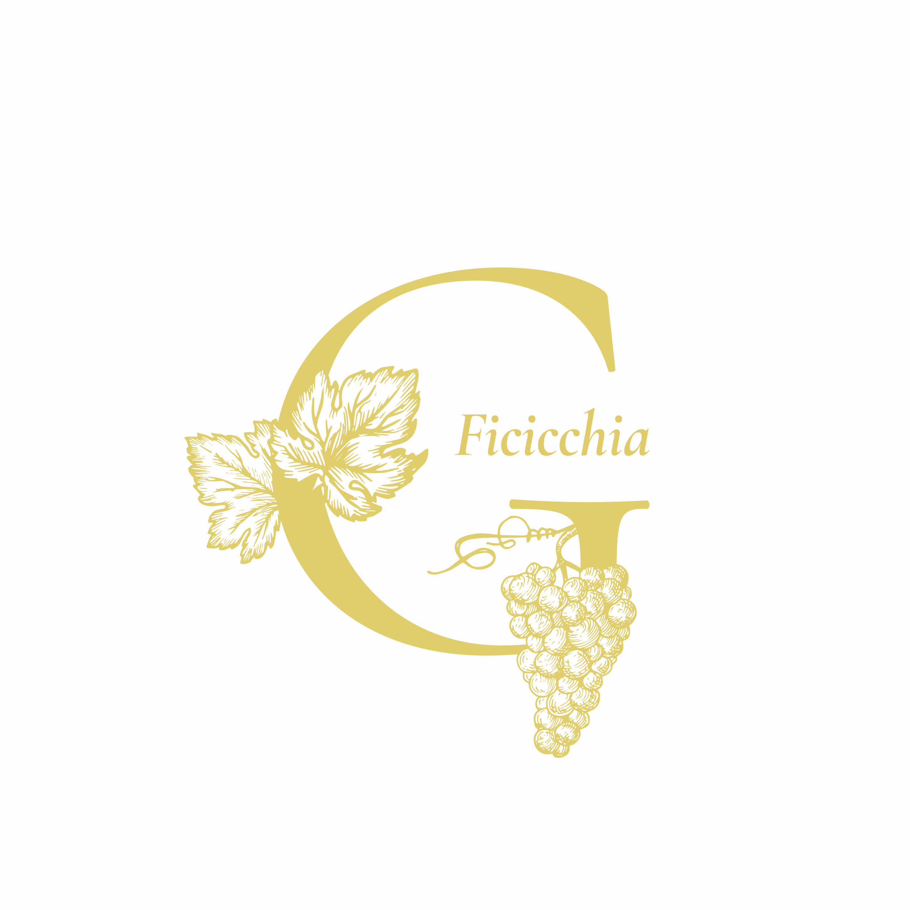 logo-giuseppe-ficicchia-produttore-di-vino.jpeg