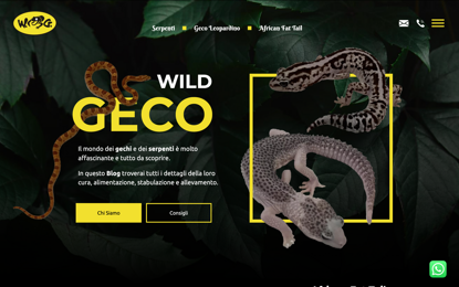 Wild Geco Cosito.it Wild Geco Cosito.it