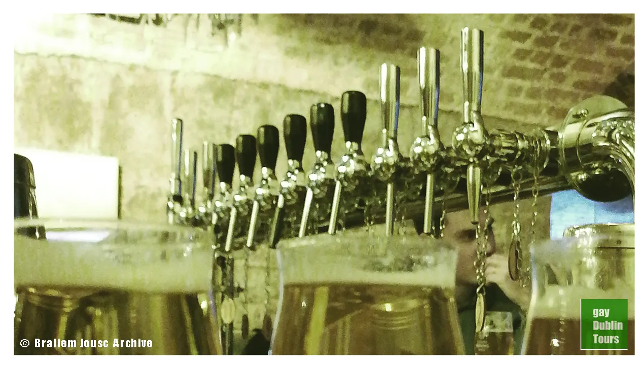 Craft beer tour in Dublin book today dinner and drinks. Queer tours all welcome