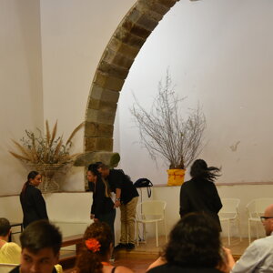 dsc_4182.jpeg dsc_4182.jpeg