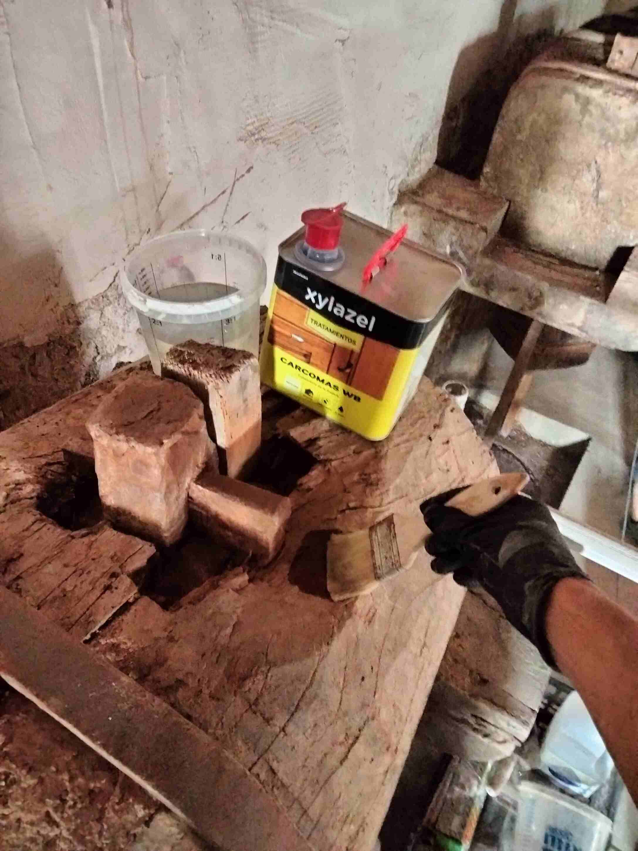 Tratamiento anticarcoma