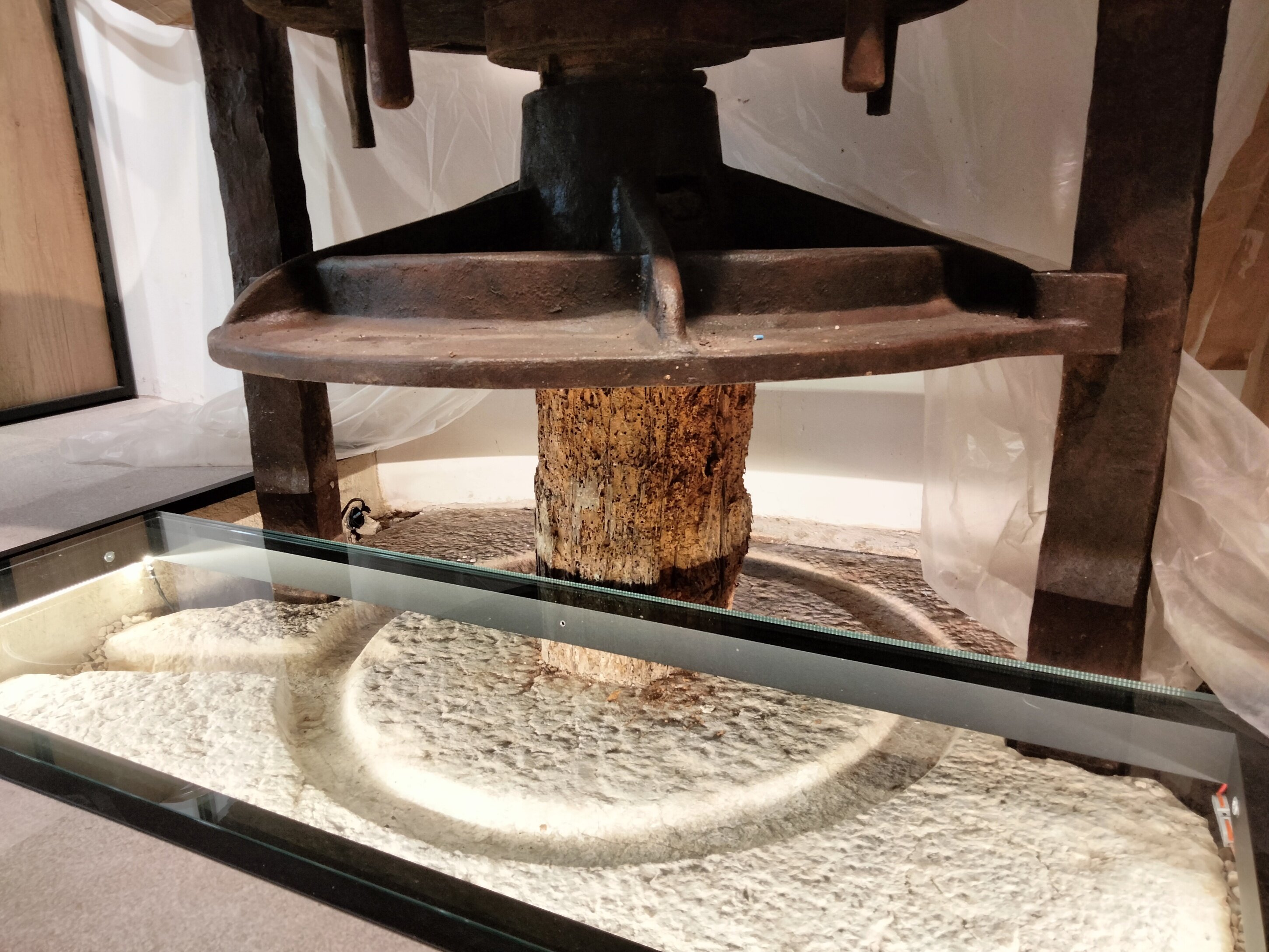 Tronco de madera sujetando plato de la prensa