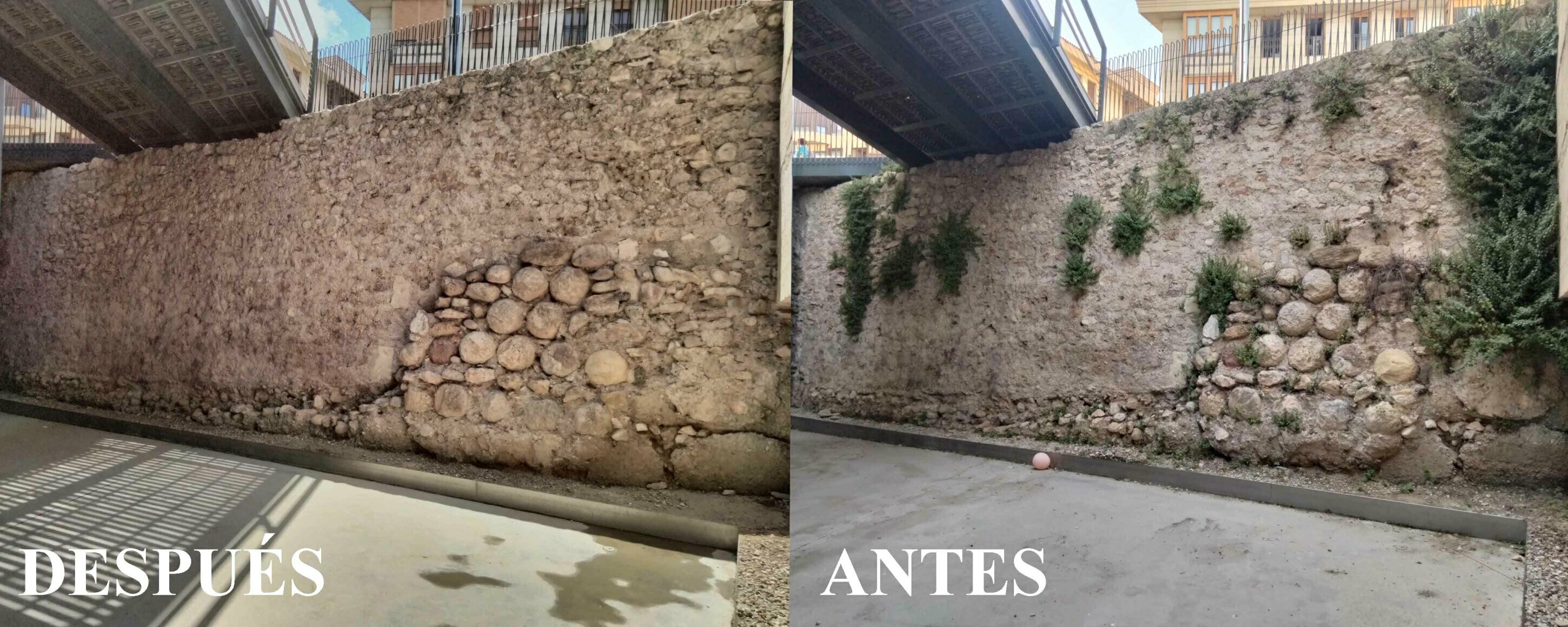 img20250731125643a.jpeg img20250731125643a.jpeg