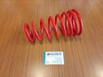 molla-posteriore-per-assetto-regolabile-ta-technix-fiat-punto-gt