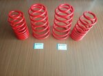 molle-assetto-hp3-motorsport-fiat-punto-gt